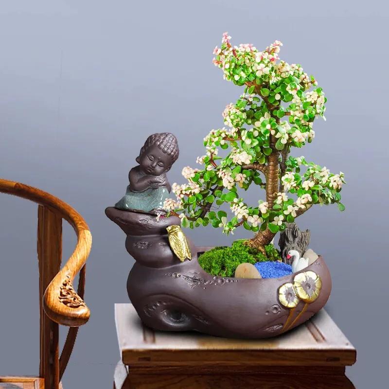 如何防止盆栽植物烂根的方法,盆栽植物僵苗的原因