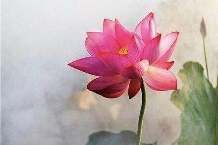 第六感很强的星座擅长读心,看人最准的三大星座精通读心术