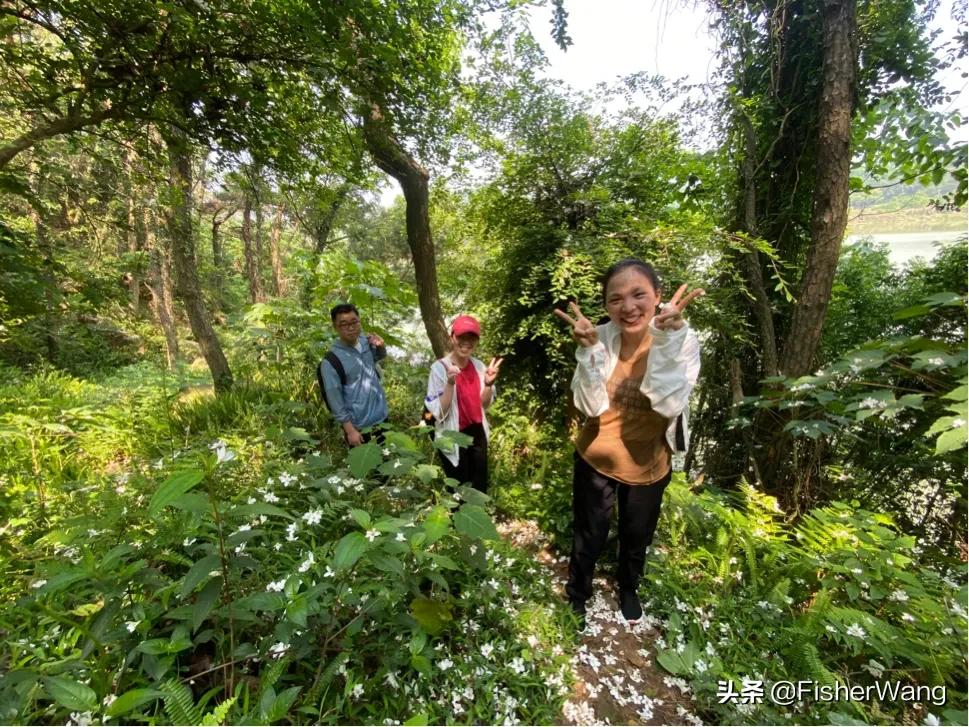 中毒or中暑，36度高温带两女生徒步，中道而退之登云-恩顶水库。