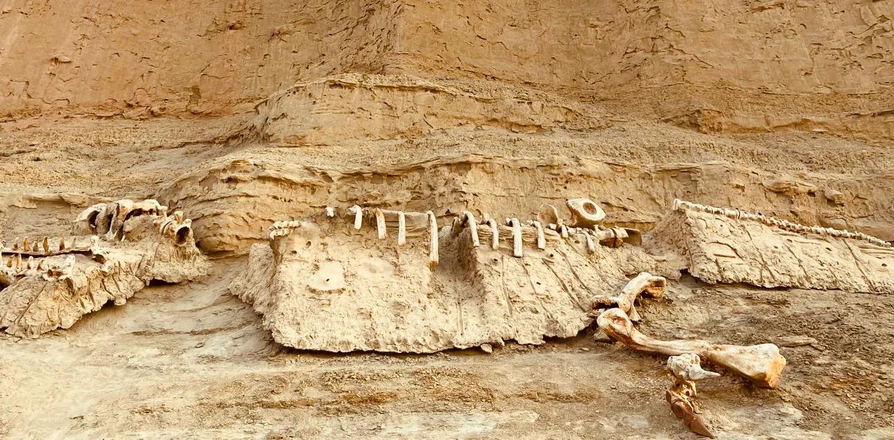 这个景区一亿年前还在湖底，居然还能捡到玉，真是不虚此行