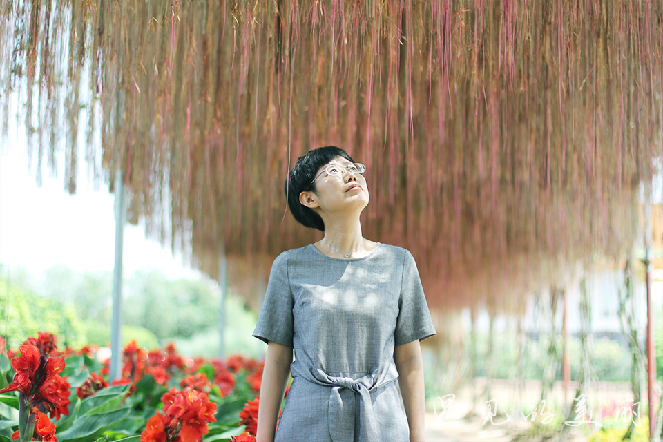 百万葵园有多坑,百万葵园免门票