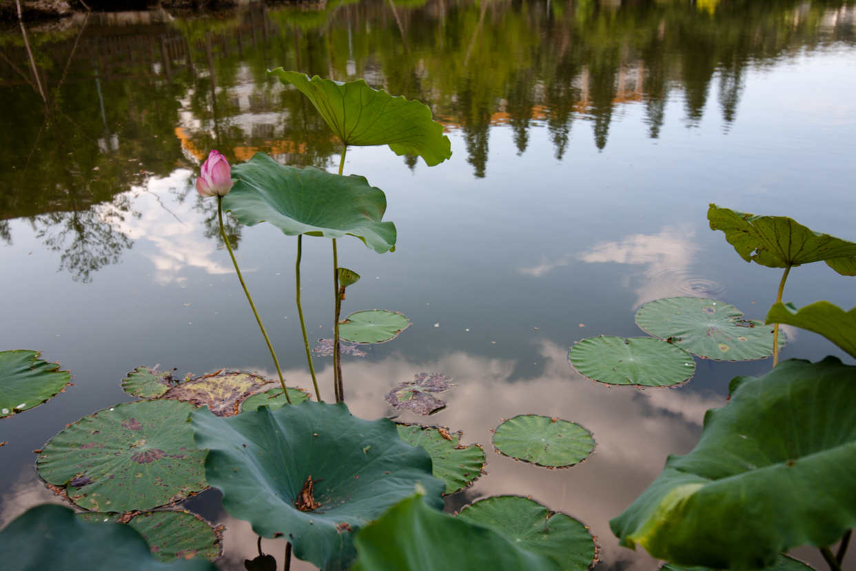 福州仓山区旅游攻略一日游,福州旅行攻略地图