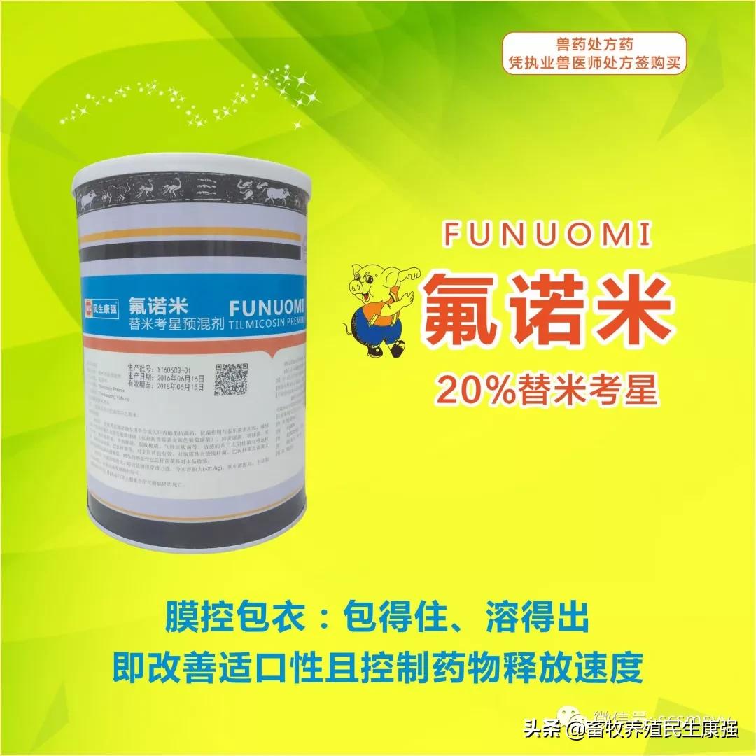 猪圆环病毒和副嗜血杆菌的关系,蓝耳病与猪圆环病毒