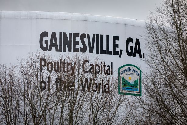 英国洗洁精洗鸡肉,英国洗衣液除螨除菌