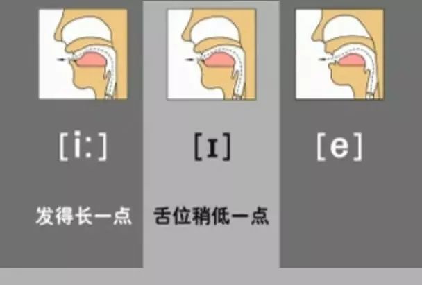 英语音标48个快速记,英语48个音标顺口溜视频教程