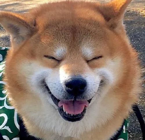 旅游3.15：滚蛋吧，假纯玩