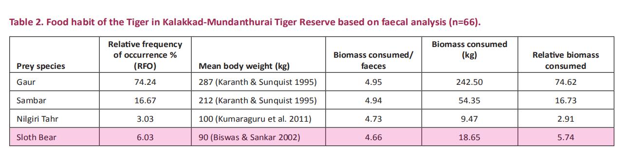 懒熊体型和老虎哪个好,懒熊可以打败老虎吗