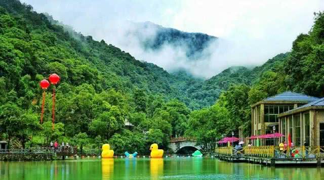 广东森林公园推荐,广东十大森林公园旅游景点