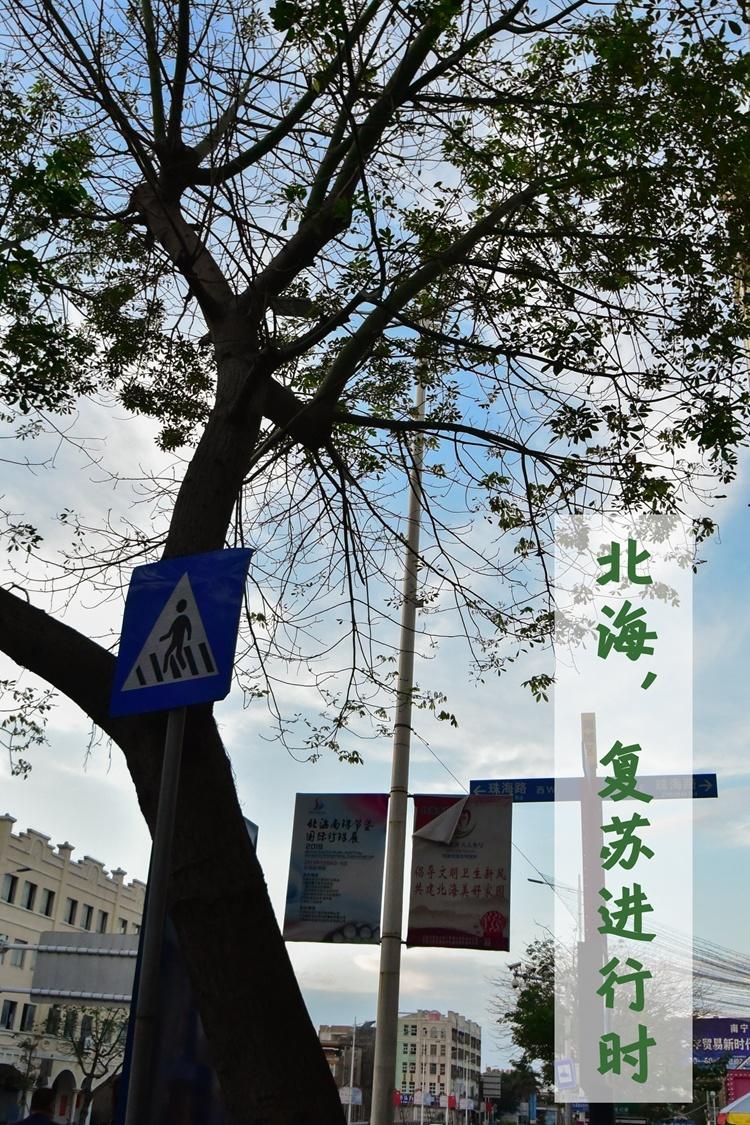 鍖楁捣鏃呮父寮哄娍澶嶈嫃,鍖楁捣澶嶈嫃浜嗗悧