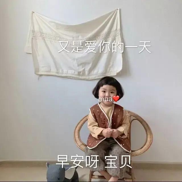 表情包作业多,作业一点都不多表情包