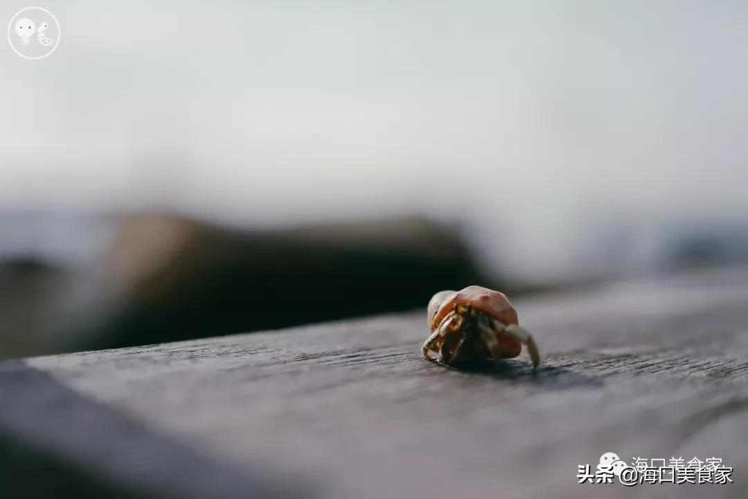 海南万宁兴隆美食攻略,海南万宁兴隆镇有什么特色小吃