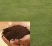 明星打的美容针是什么,女明星打美白针吗