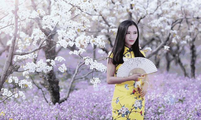 一任群芳妒,一任群芳妒上一句是什么