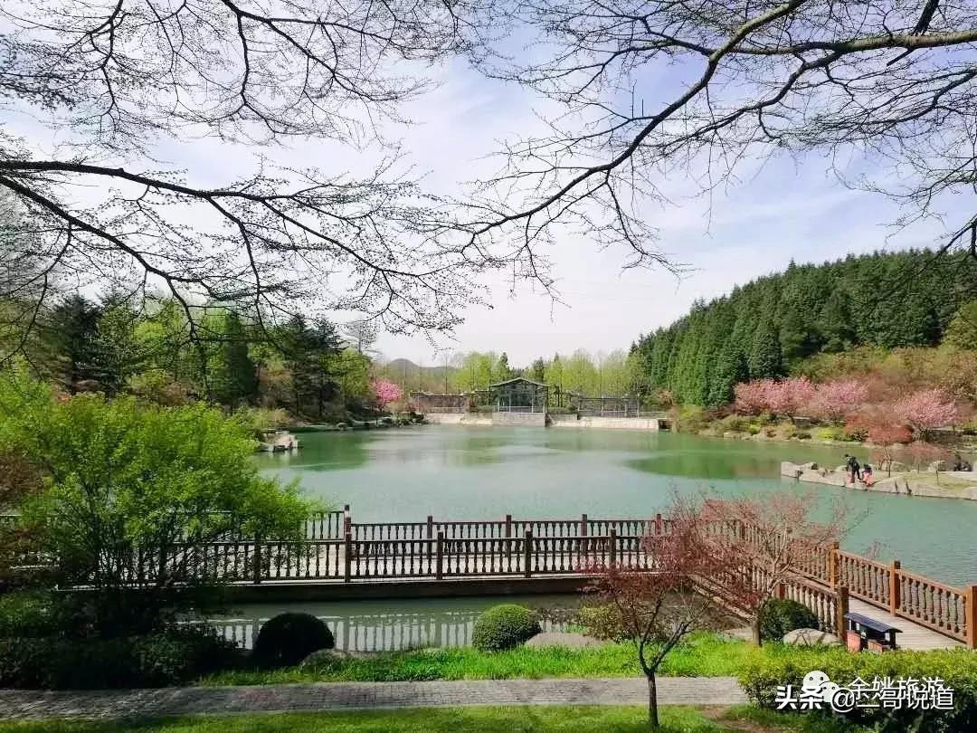 浙江看日本樱花最佳地方,浙江赏樱花最佳地排行榜