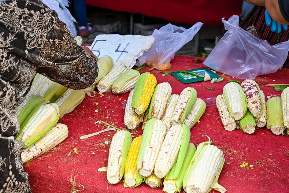 北京南城最大的早市在哪里,北京大兴早市哪个最好