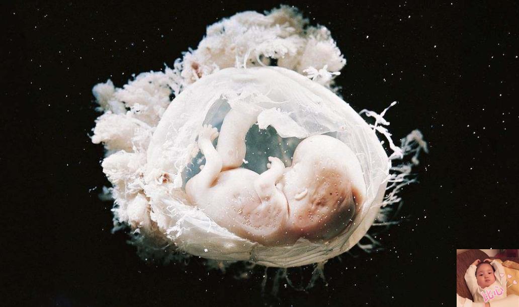 准妈妈肚子,孕早期肚子咕咕响代表什么意思