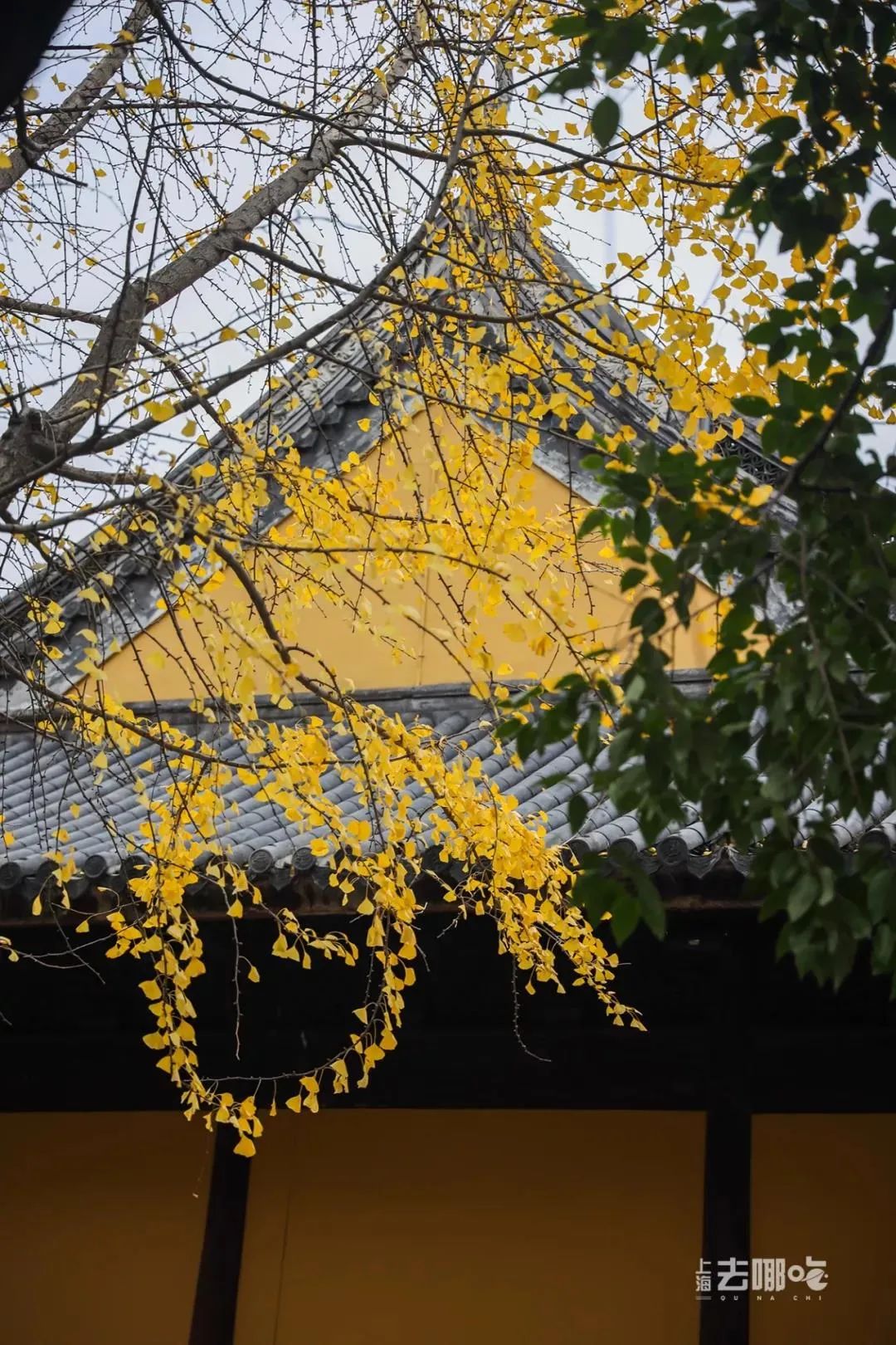 立秋，立秋！这43件事，上海人必须要去做