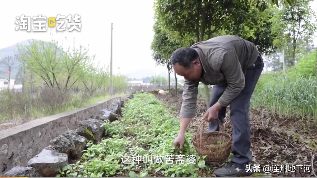 广东又因吃上热搜，竟然是因为这种“臭脚丫子”味的食物！
