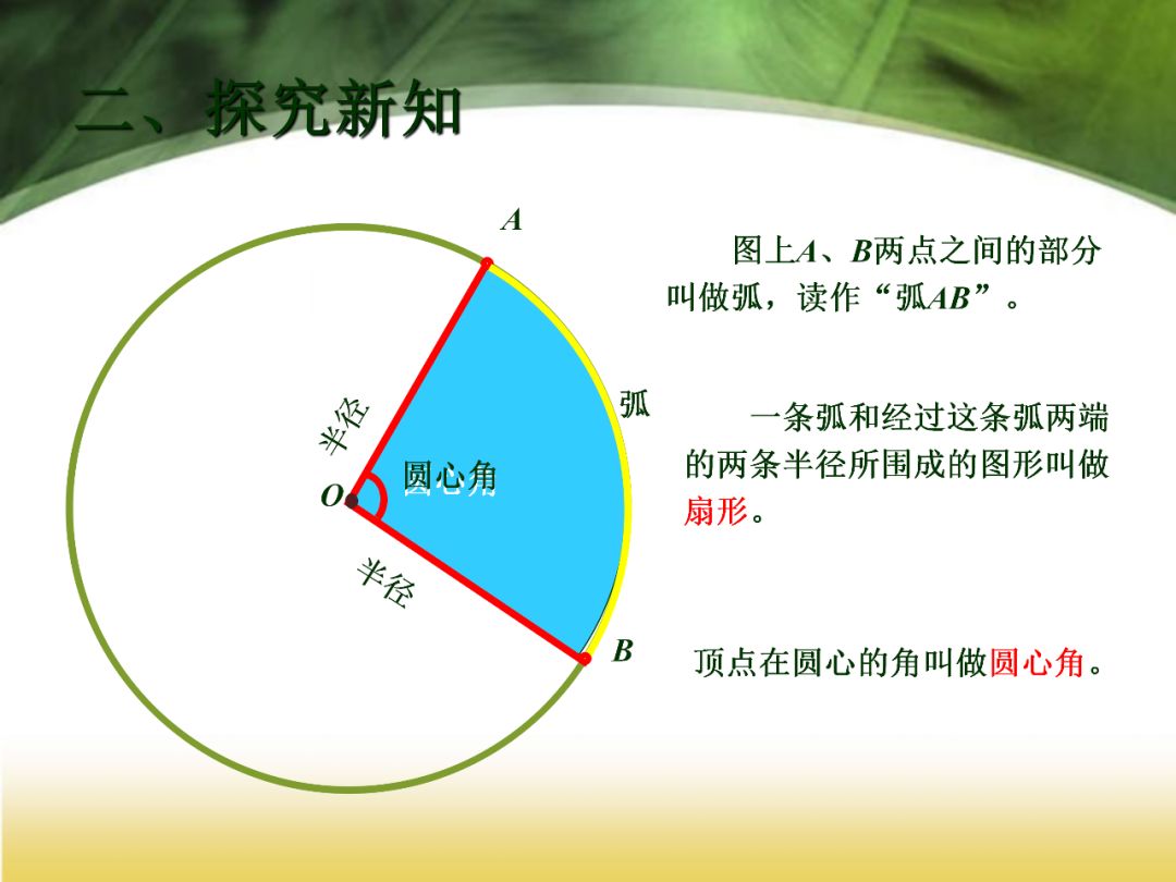 六年级上册第五单元圆的面积预习,六年级上册数学第五单元圆难题