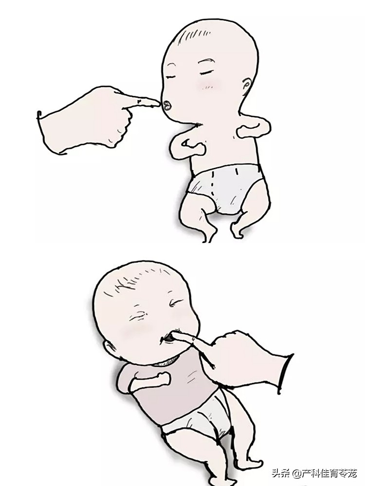 母乳喂养24小时吸吮频率,新生儿早吸吮早接触的好处