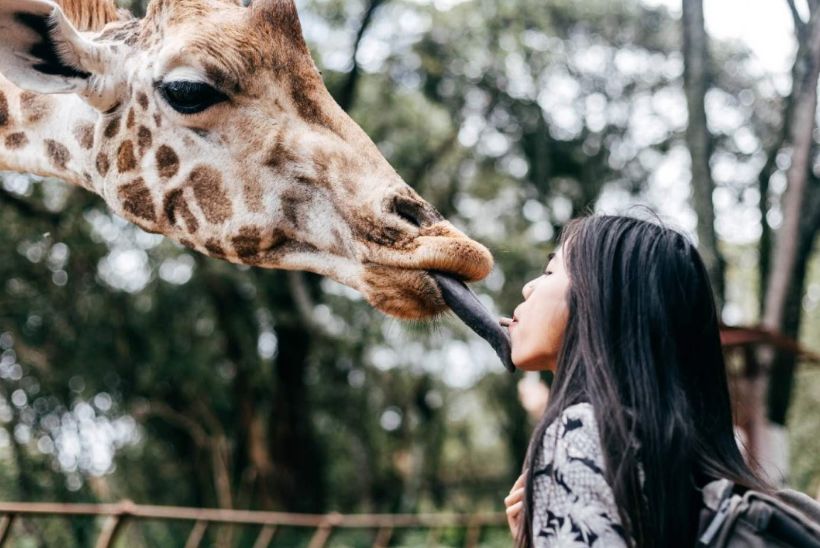 情侣离职旅行国家,情侣辞职骑摩托环游中国