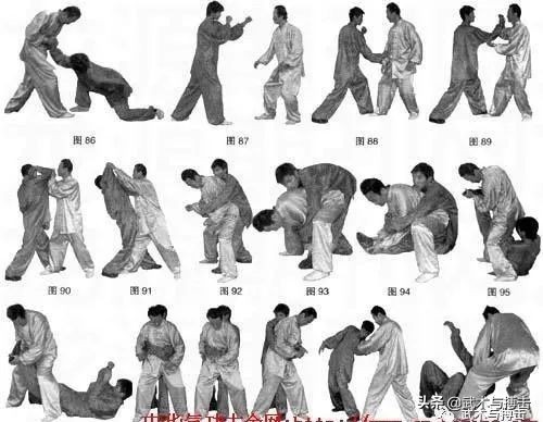 武术散手常用技法图文教学,传统武术散手最毒招式打法