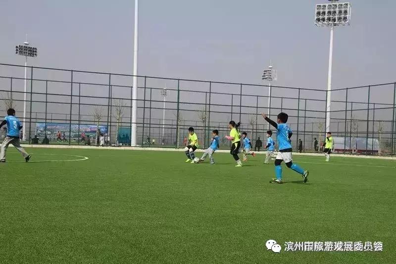 紫藤风铃艺术节,紫藤艺术节