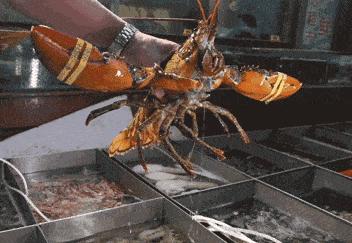 超市最辛苦的区域,超市上班站立9个小时很辛苦吗