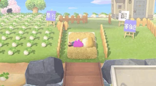 自从睡前迷上ASMR撸猪,焦虑失眠就再也追不上我