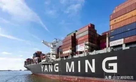 台湾海运三巨头是哪几个,台湾万海船长