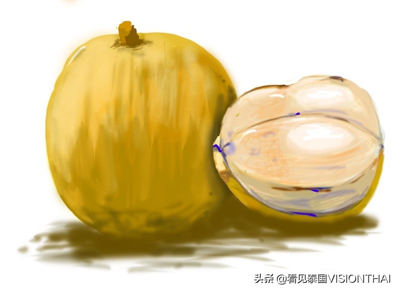 泰国榴莲和山竹果园,泰国水果山竹芒果