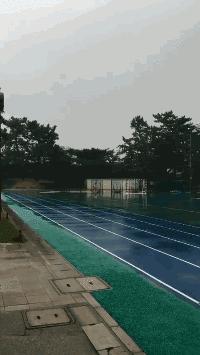 搞笑动图gif熊猫,搞笑动图gif阿姨