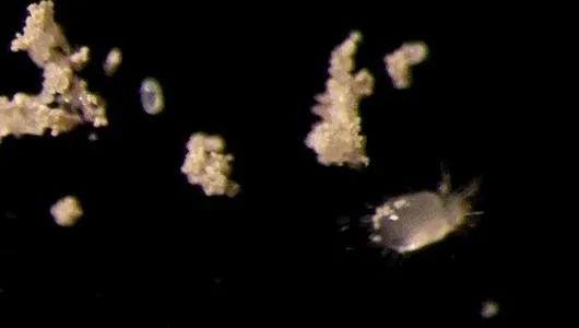 生活用品日常清洁小妙招,日常生活卫生如何打理好