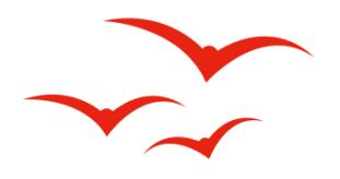 扒一扒深圳教育集团的老牌小学|南山龙岗篇