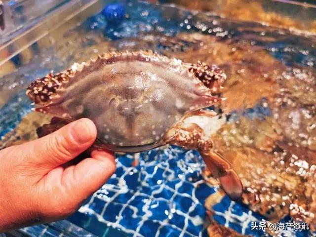 5月8日起全面禁售下架！皮皮虾、梭子蟹冰鲜、活体海鲜都不能吃