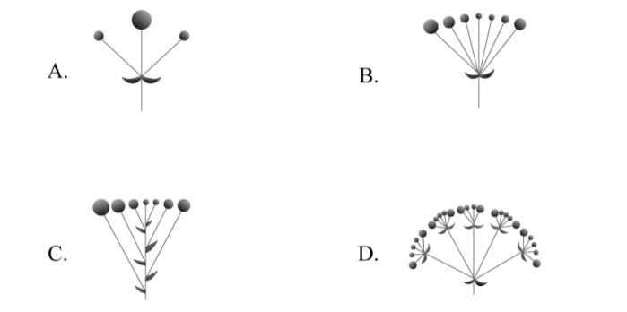 2023公务员考试行测真题解析视频,公务员考试申论真题及答案