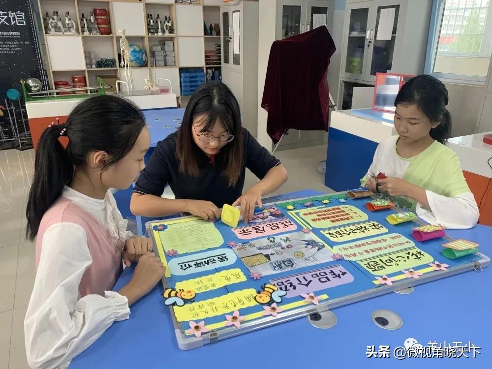 信阳市劳动技能大赛,劳动创造幸福劳动实践活动