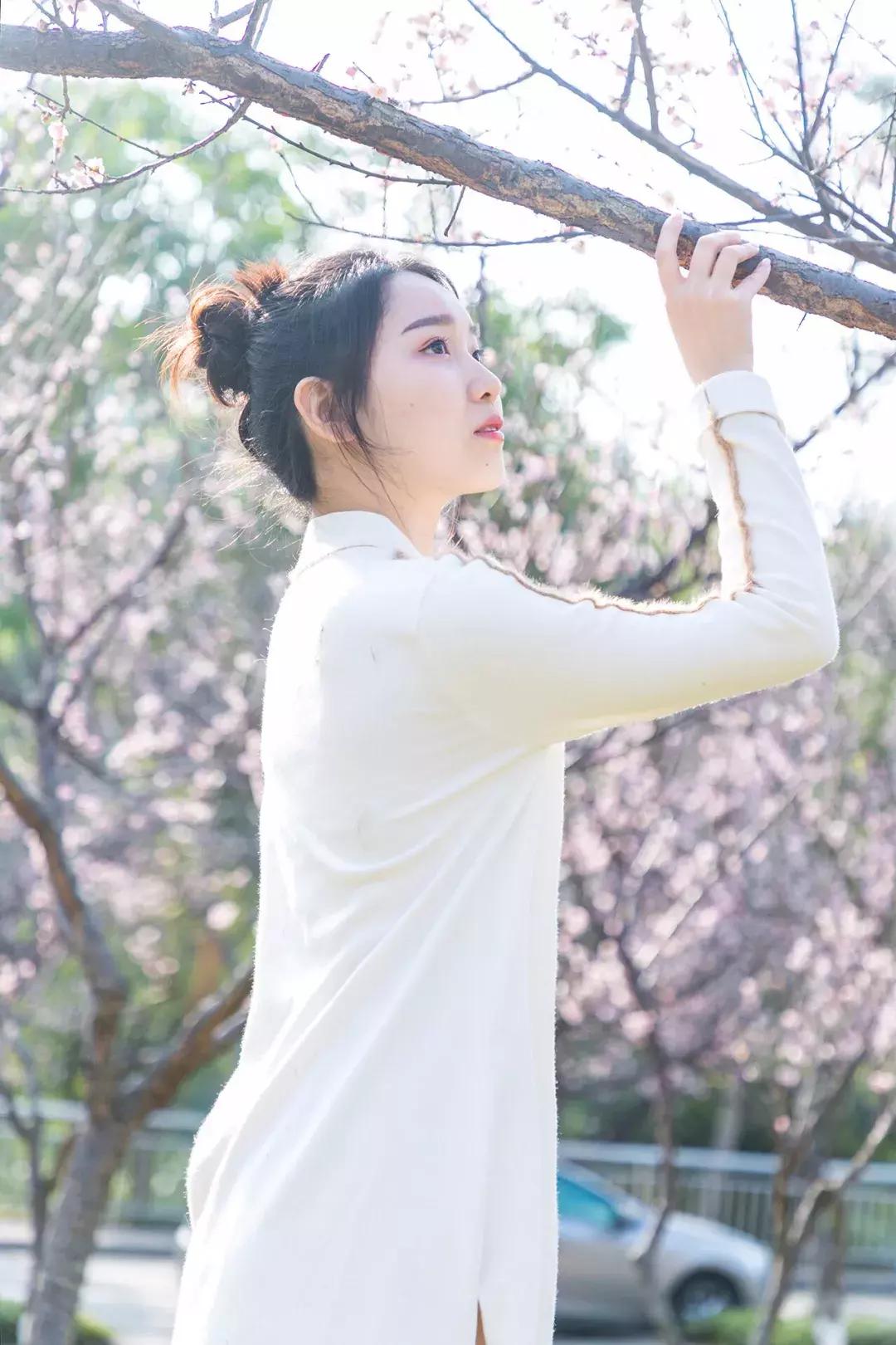 深圳隐秘风景,深圳粉色花海视频