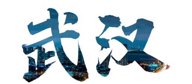 一入武汉热血腾,从此爱上这座城