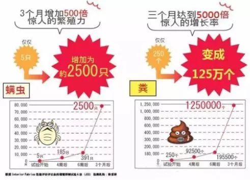 秋冬天，用中草药做个神器，螨虫与霉菌不会客气了