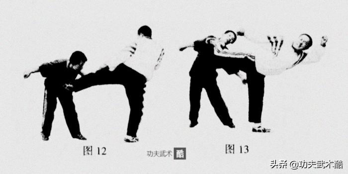 世界综合格斗十大凶狠腿法,最凶狠的格斗腿法