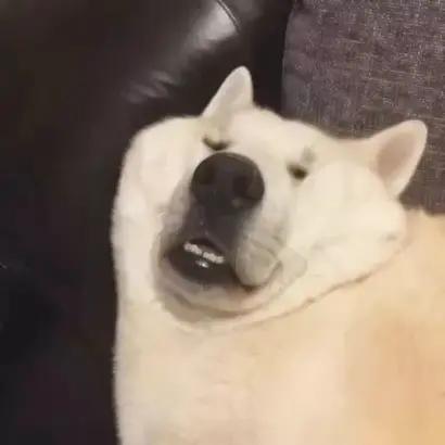 沙雕闺蜜头像四人一人一张,沙雕闺蜜头像新年款