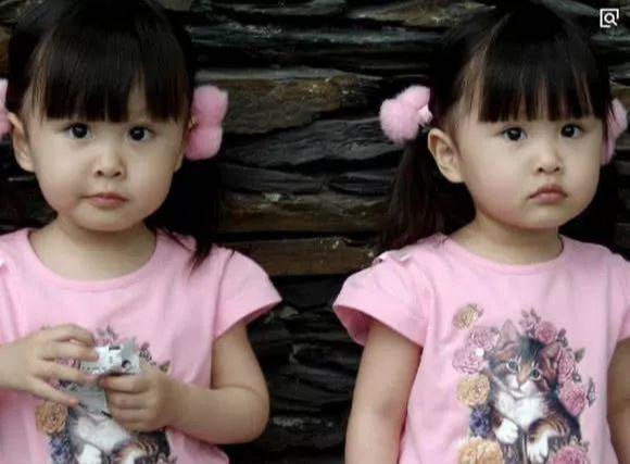 张杰和谢娜的两个孩子长什么样,张杰和谢娜有三胞胎吗