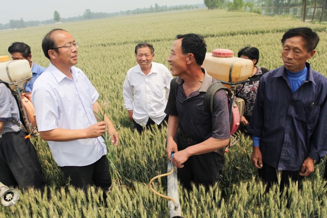 网购敢卖假农药吗,网购农药一百单