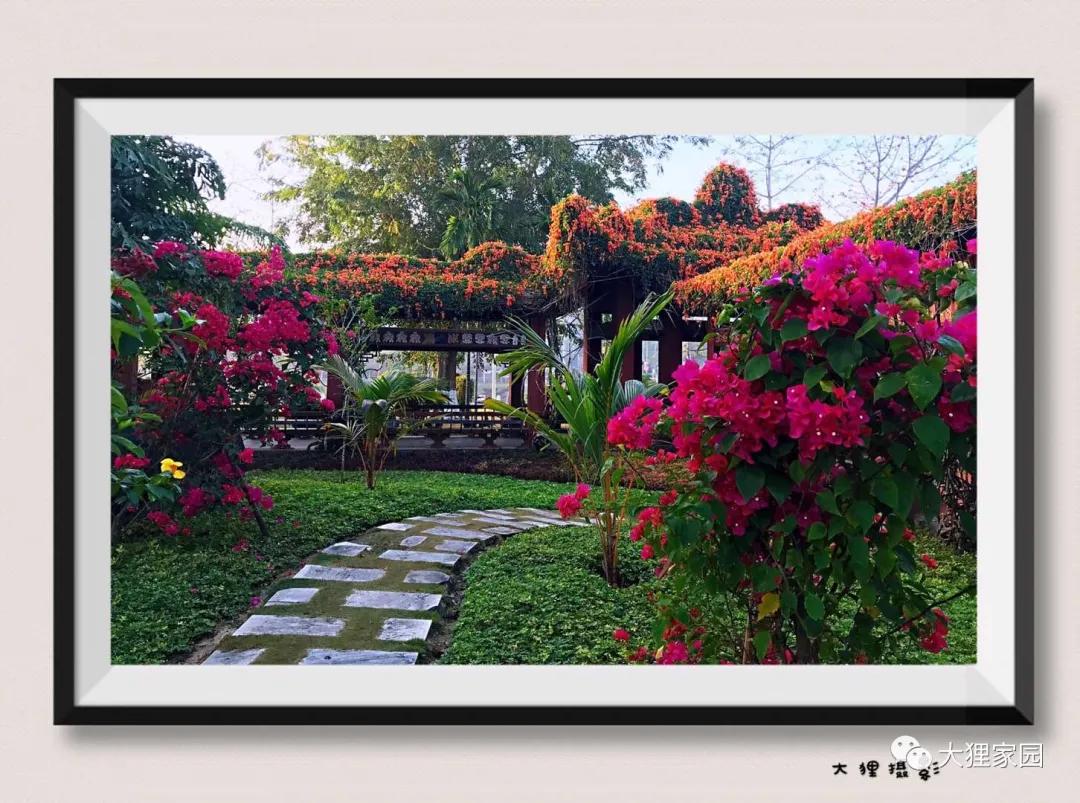 带娃的日子有滋有味,日子过得有滋有味广场舞