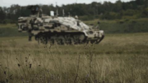 鼬鼠步兵战车,日耳曼鼬鼠坦克