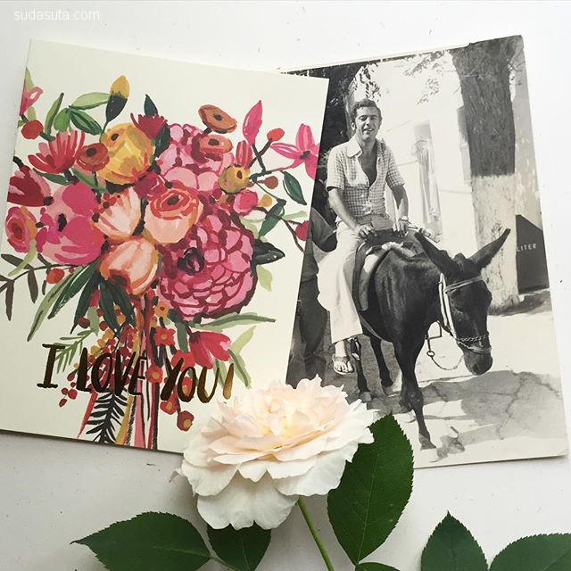 插画师carolyngavin绘画作品,carolyn插画