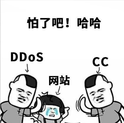什么是cc网站如何应对cc攻击,域名存在cc攻击怎么解决