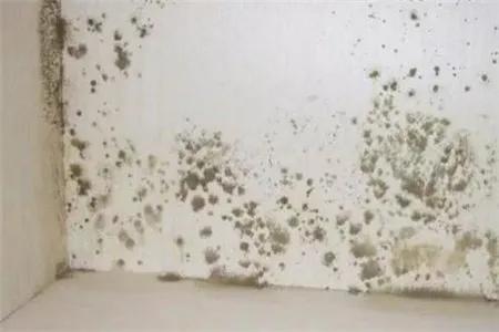 家里墙壁发霉怎么处理刷墙,家里墙壁发霉翻新用什么漆