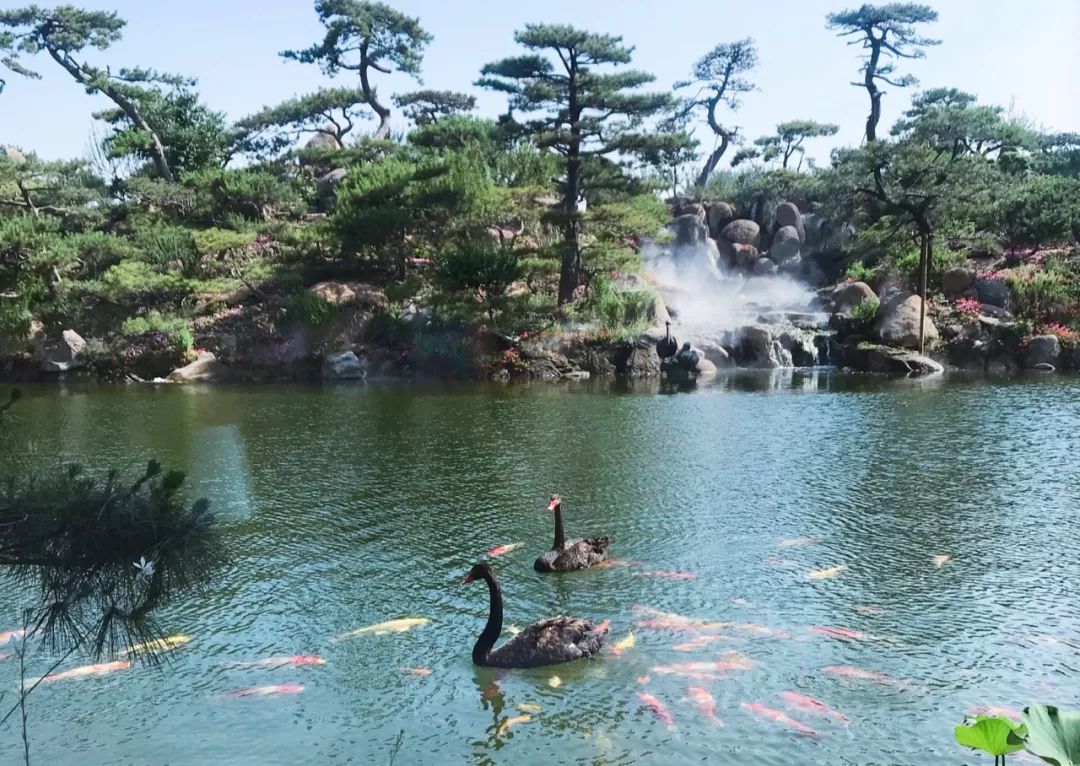 公关品牌形象的作用是什么,品牌公关主要做什么工作内容